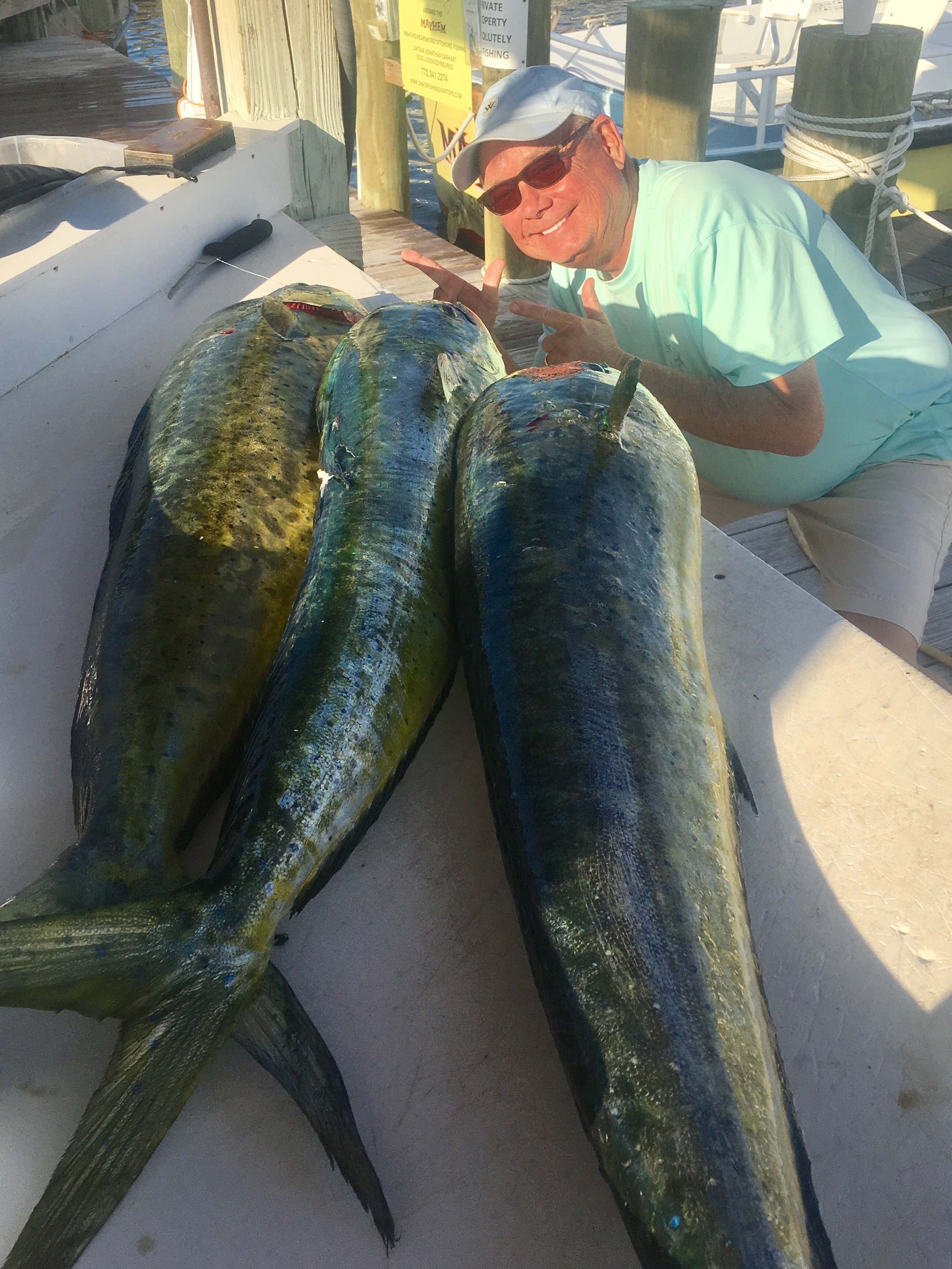 florida fishing charters tuna