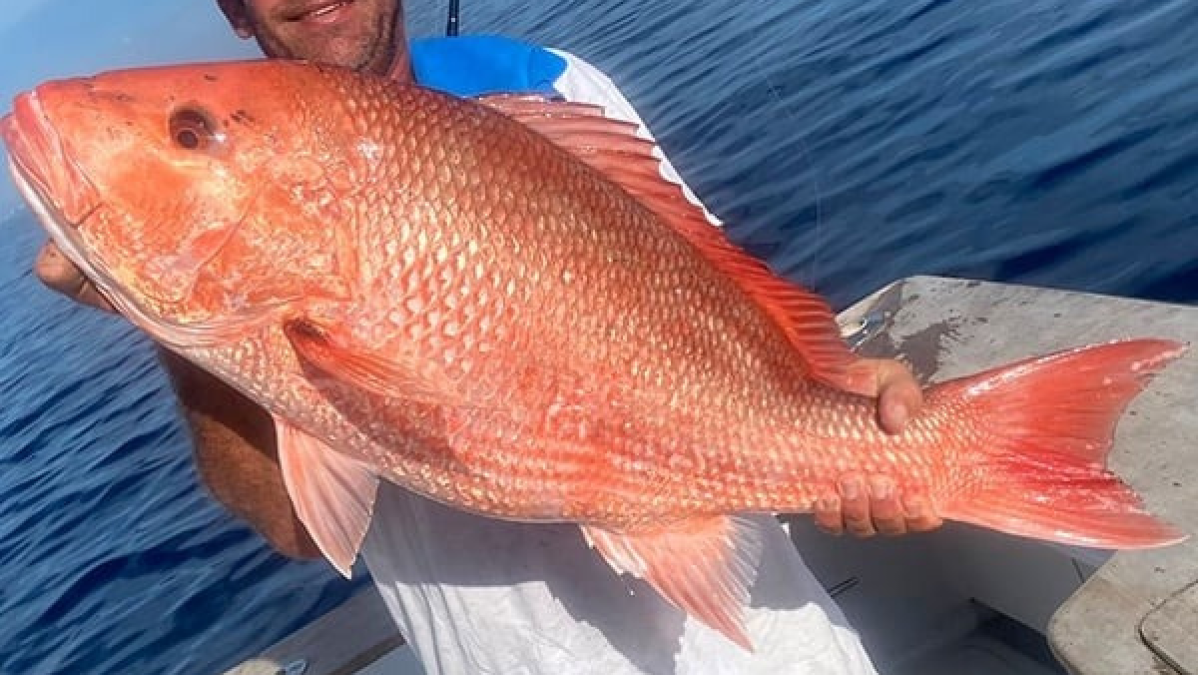 Person on boat holding a large red fish with ocean in background.