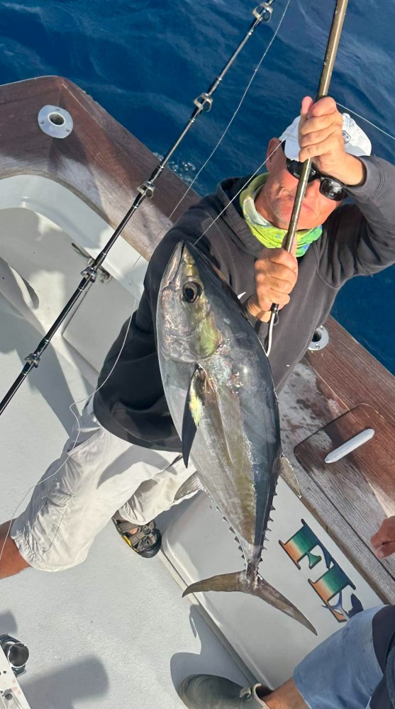 Person on boat holding large fish with fishing rod.