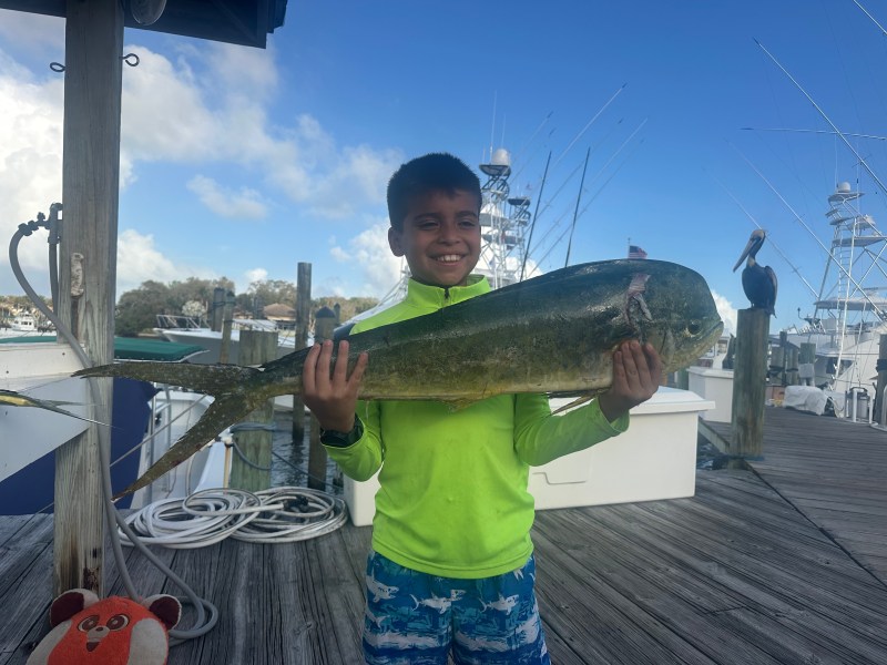 Child holding a large fish on a dock with boats in the background.