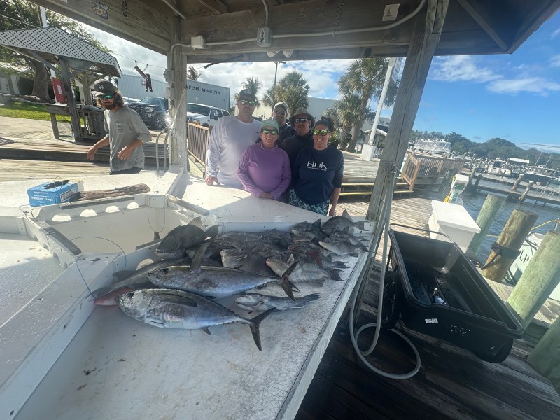 Group of people by a table with various fish in a marina setting.