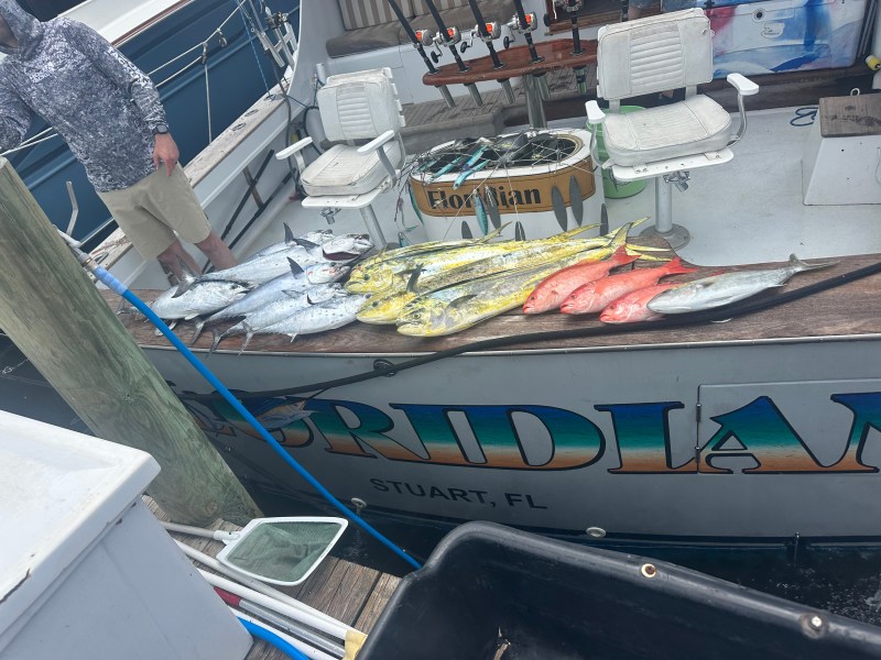 Boat with various caught fish displayed on the deck.